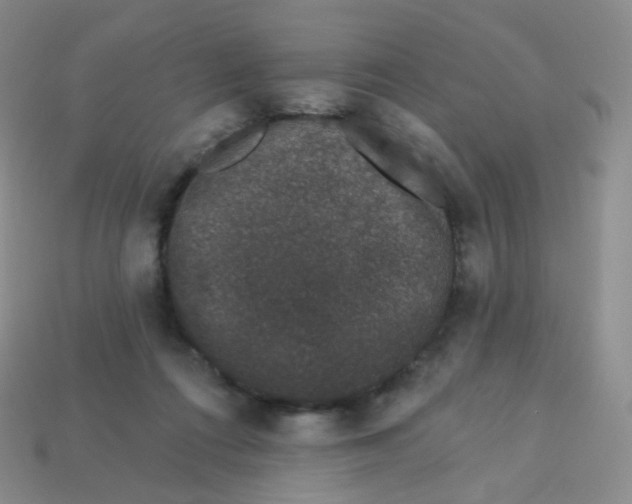 X0000113270312200910081406