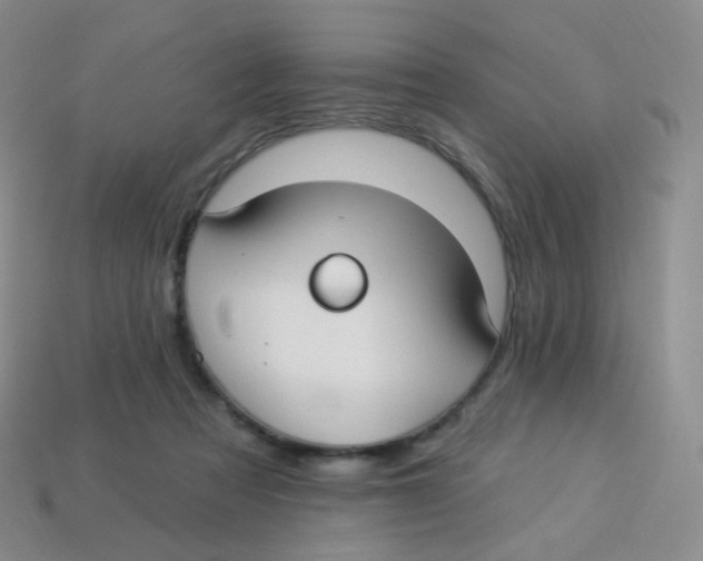 X0000113270313200910081406