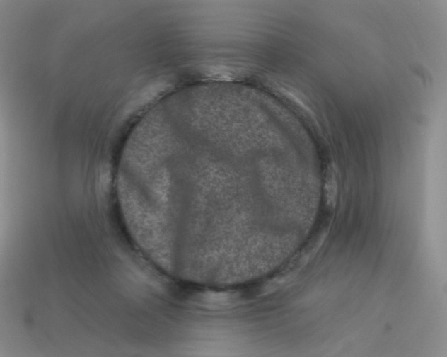 X0000113270314200910081406