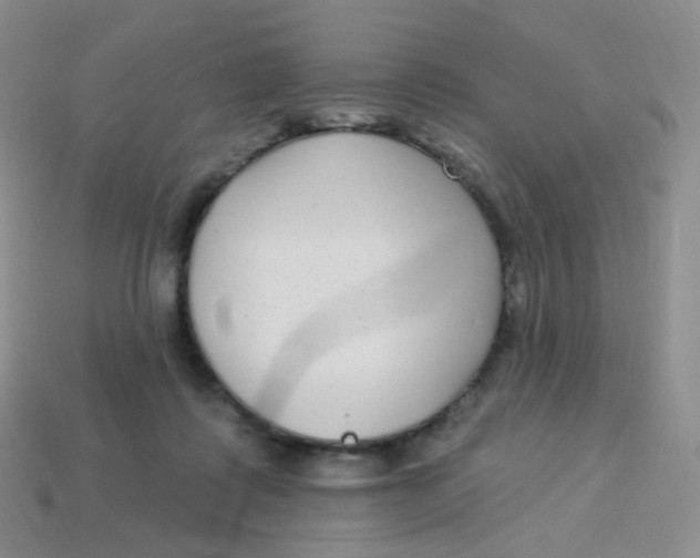 X0000113270315200910081406