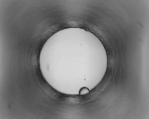 X0000113270317200910081406