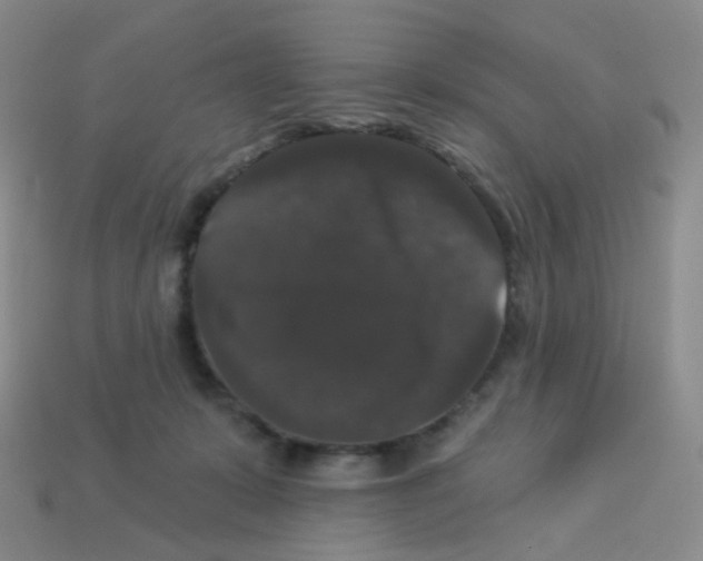 X0000113270319200910081406