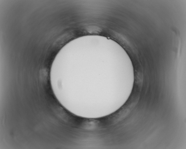 X0000113270321200910081406