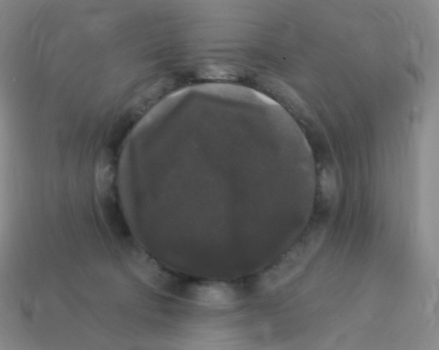 X0000113270322200910081406