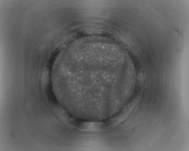 X0000113270323200910081406