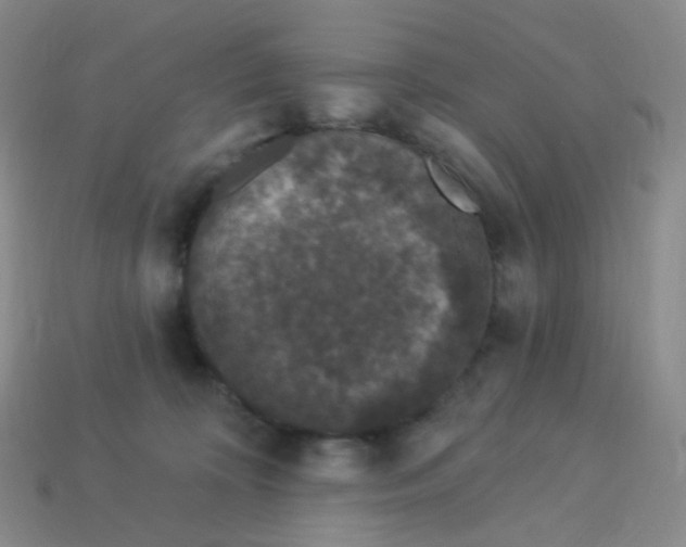 X0000113270324200910081406