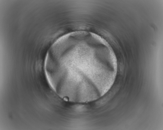 X0000113270326200910081406