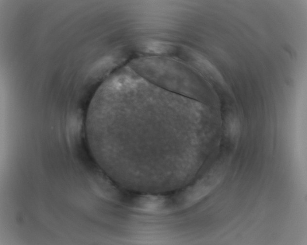 X0000113270328200910081406