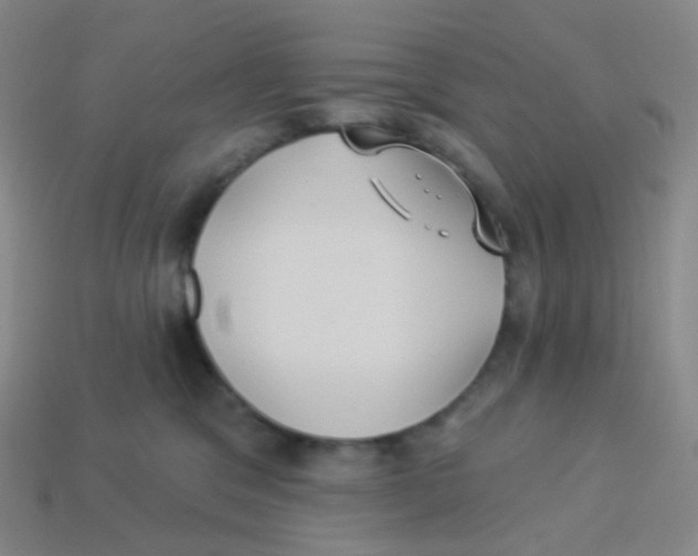 X0000113270329200910081406