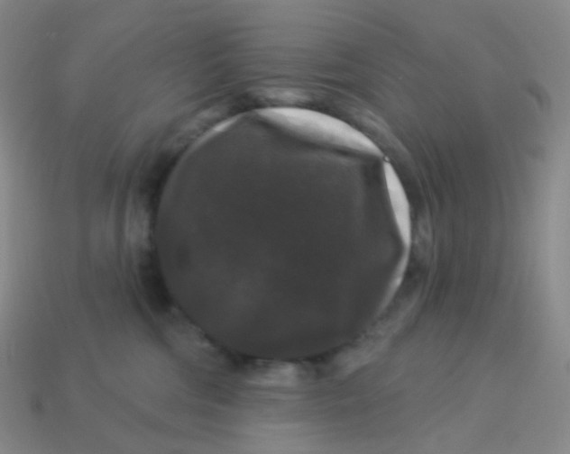 X0000113270330200910081406