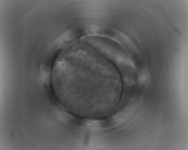 X0000113270332200910081406