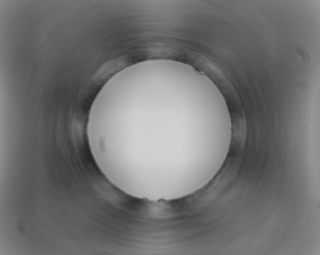 X0000113270333200910081406