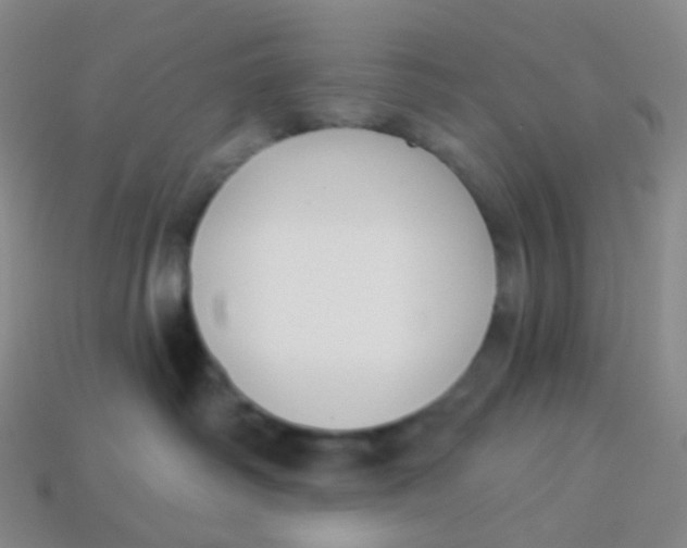 X0000113270334200910081406