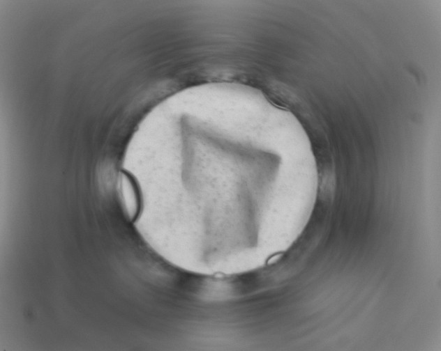 X0000113270335200910081406