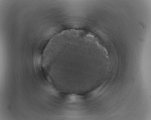 X0000113270336200910081406