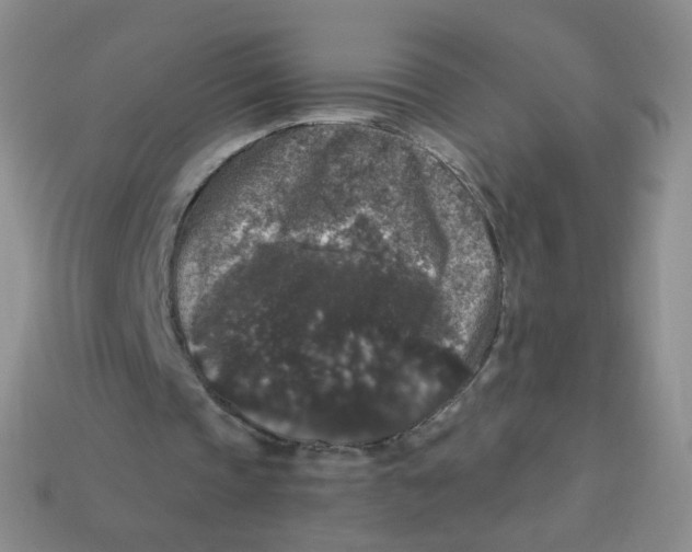 X0000113270337200910081405