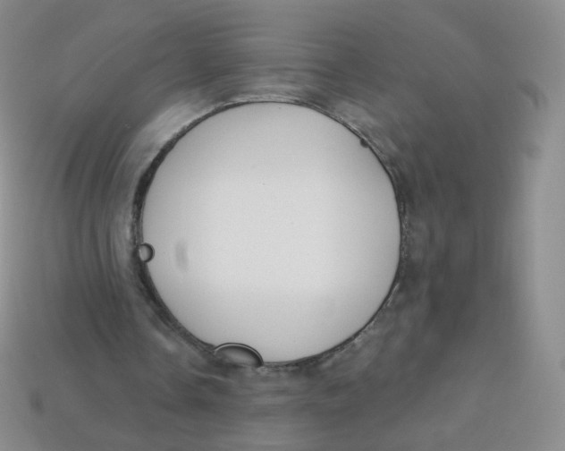 X0000113270338200910081405