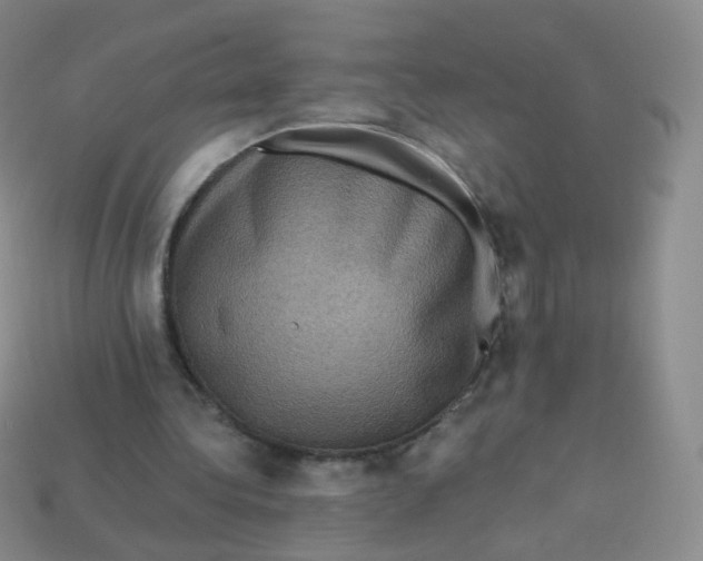 X0000113270340200910081405