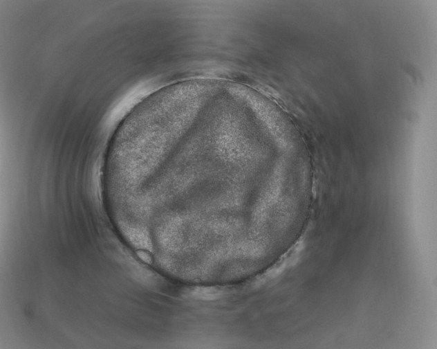 X0000113270341200910081405