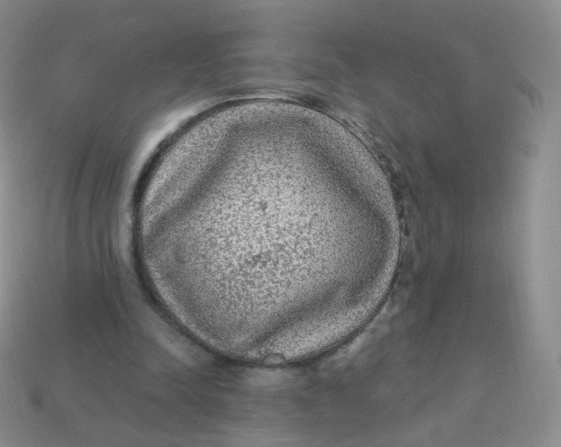 X0000113270342200910081405