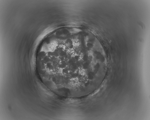 X0000113270343200910081405