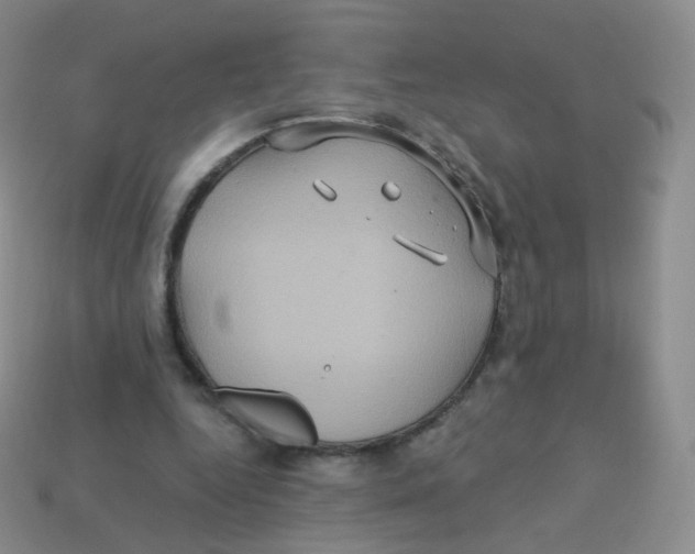 X0000113270344200910081405