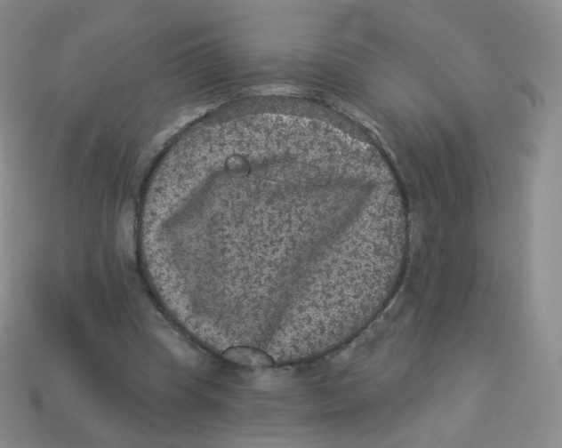 X0000113270345200910081405