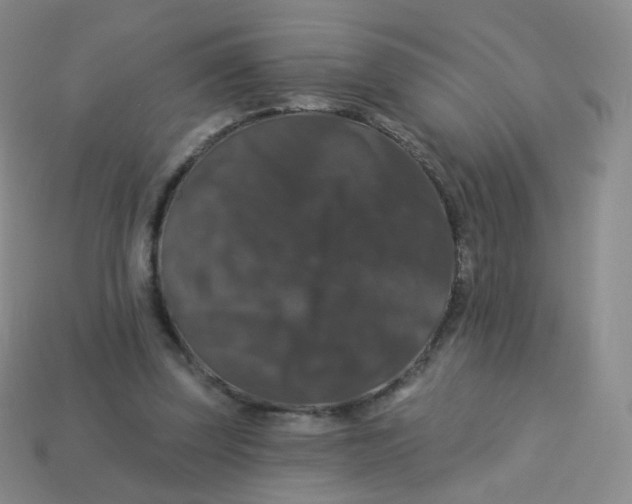 X0000113270347200910081405