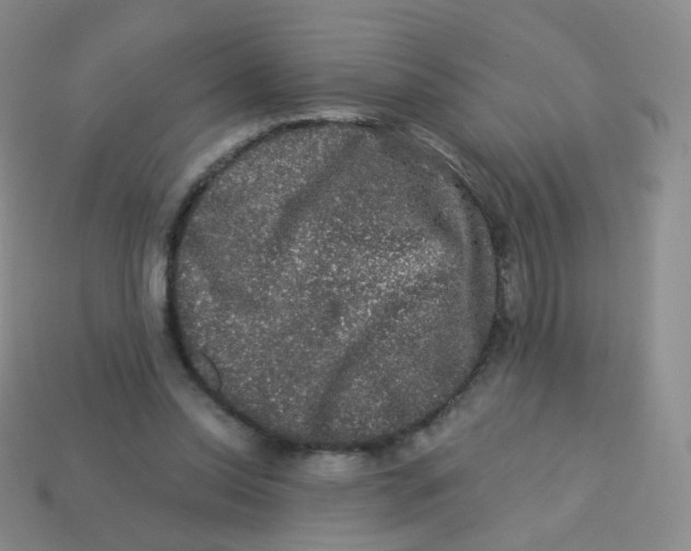 X0000113270350200910081405