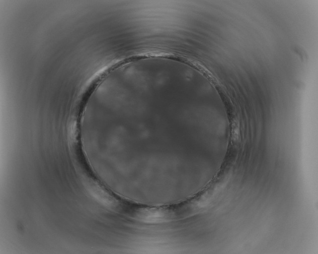 X0000113270351200910081405