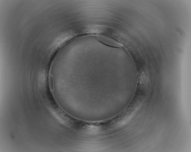 X0000113270352200910081405