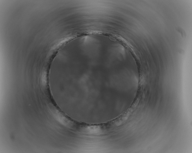 X0000113270353200910081405