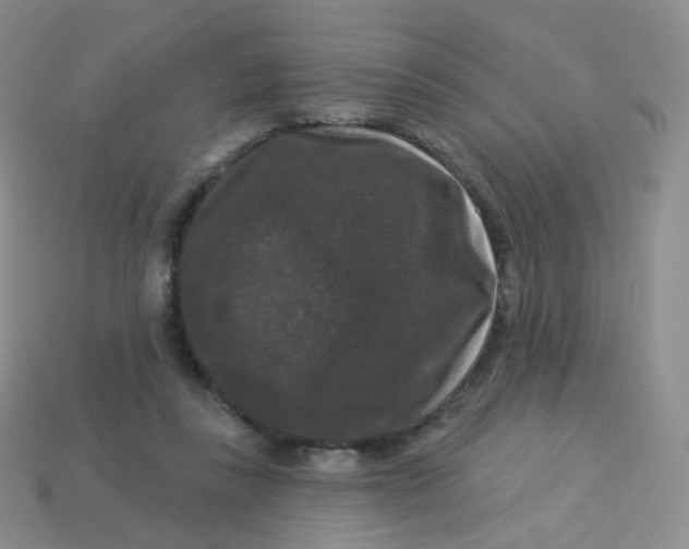 X0000113270355200910081405