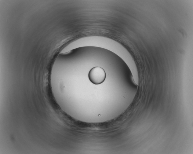 X0000113270356200910081405