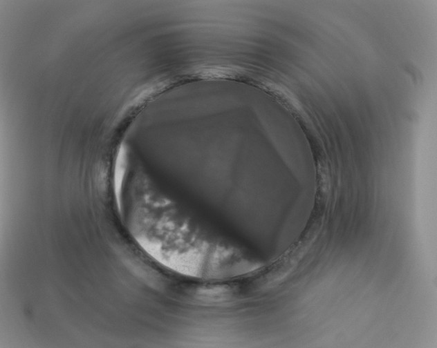 X0000113270357200910081405