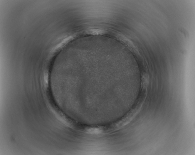 X0000113270358200910081405