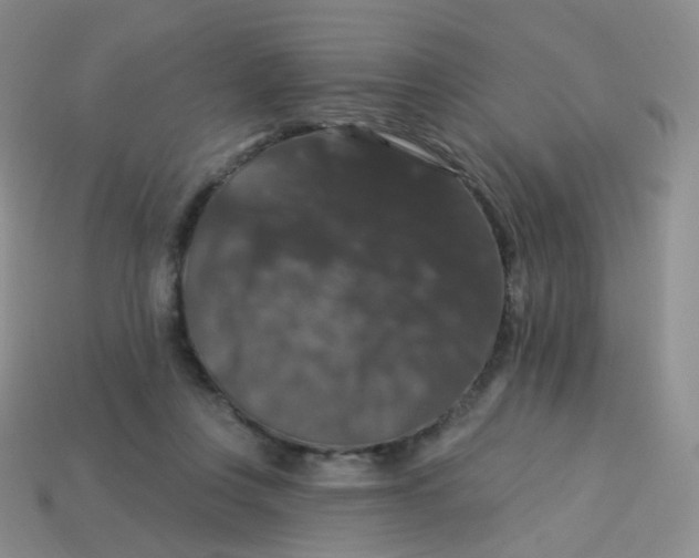 X0000113270359200910081405