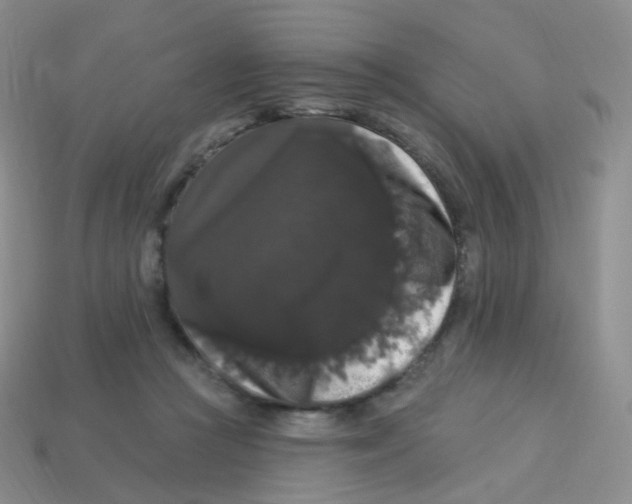 X0000113270361200910081405