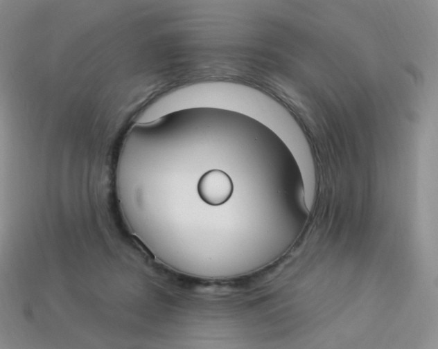 X0000113270362200910081405