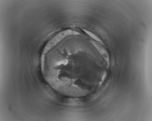 X0000113270367200910081405