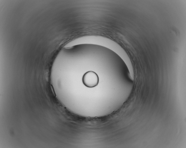 X0000113270368200910081405