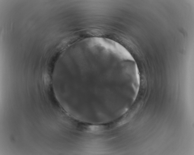 X0000113270371200910081405