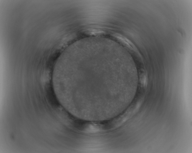 X0000113270372200910081405