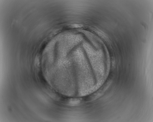 X0000113270373200910081405