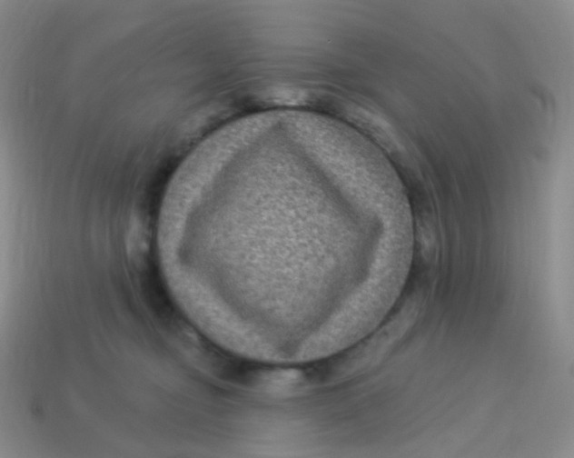 X0000113270374200910081405