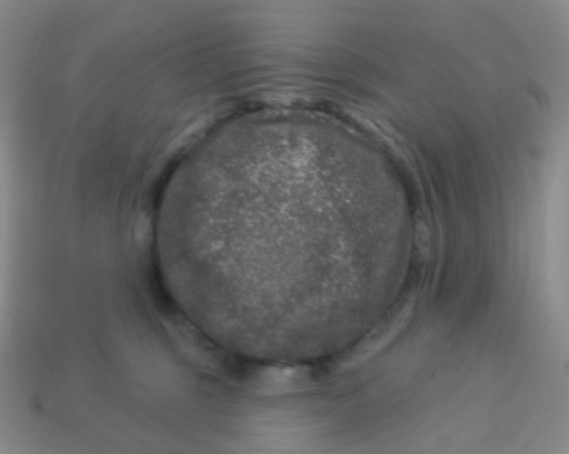 X0000113270375200910081405