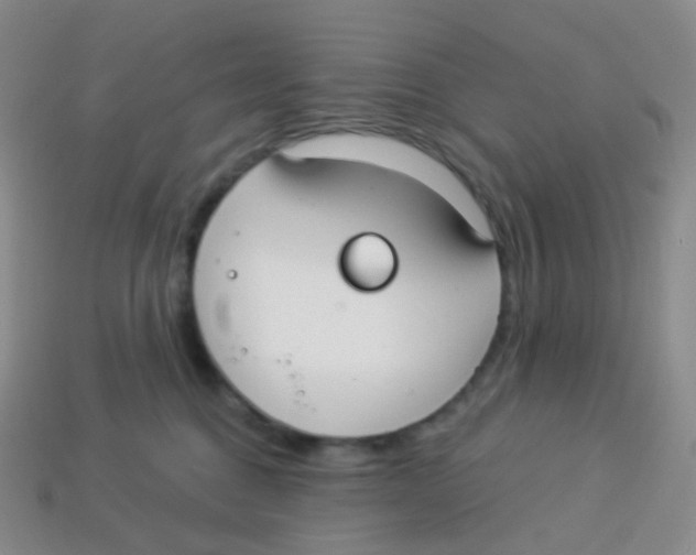 X0000113270376200910081406