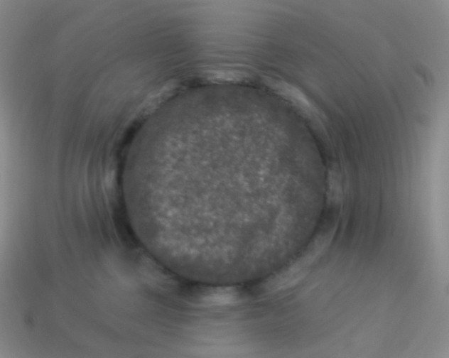 X0000113270377200910081406