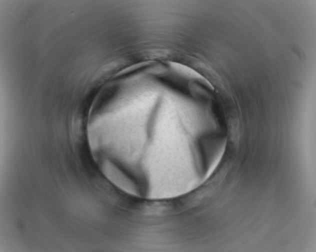 X0000113270378200910081406