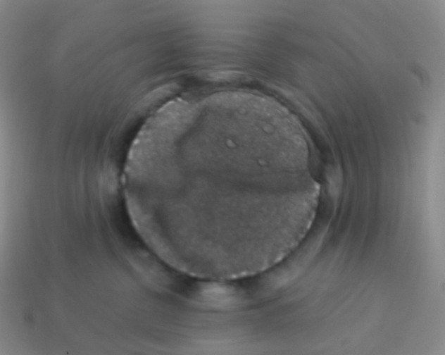 X0000113270380200910081406